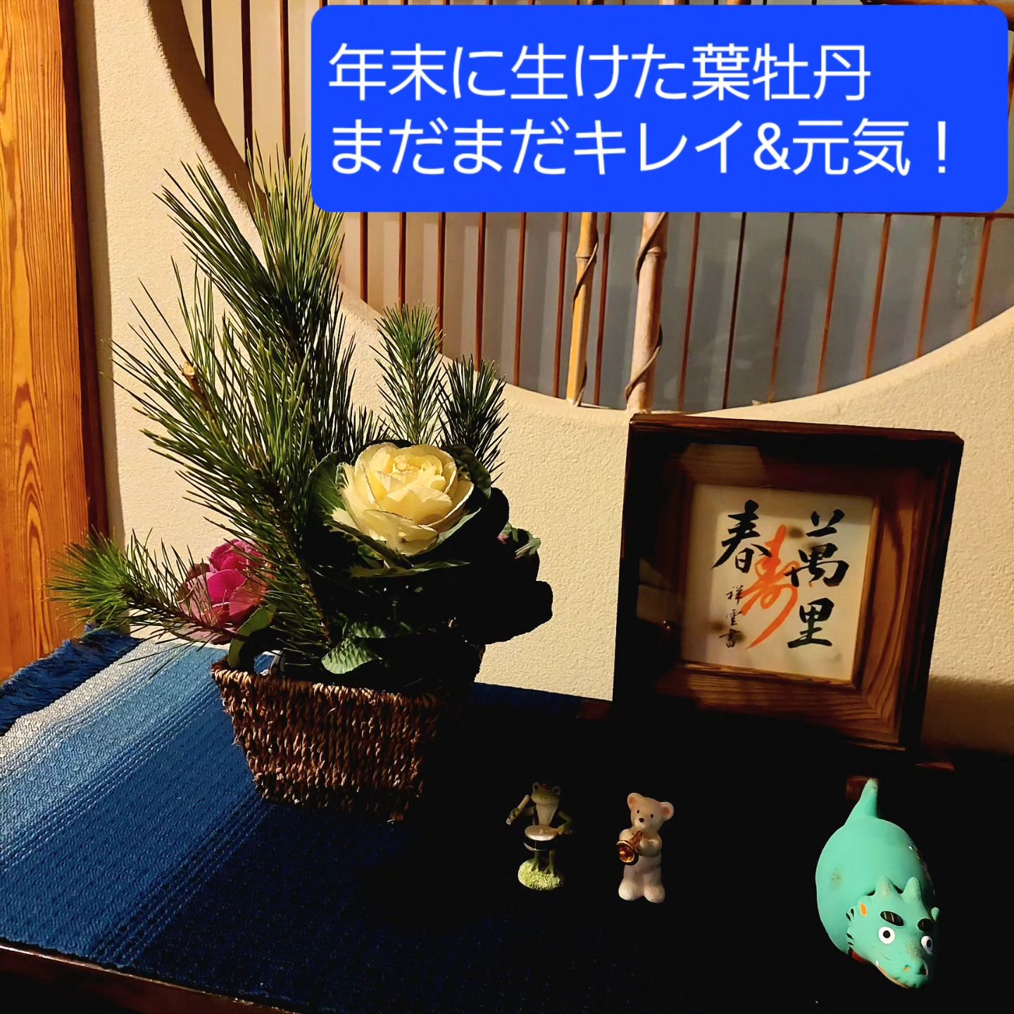 怒涛のような年末を越え、年始になり１０日近く。たぐちファームの葉牡丹はまだまだイキイキ️あちこちでキレイな花を見せてくれます。長持ちするなぁ～と実感。いつまでも楽しめる花、いいですね#たぐちファーム　#長持ち花　#葉牡丹　#出雲市斐川町出西