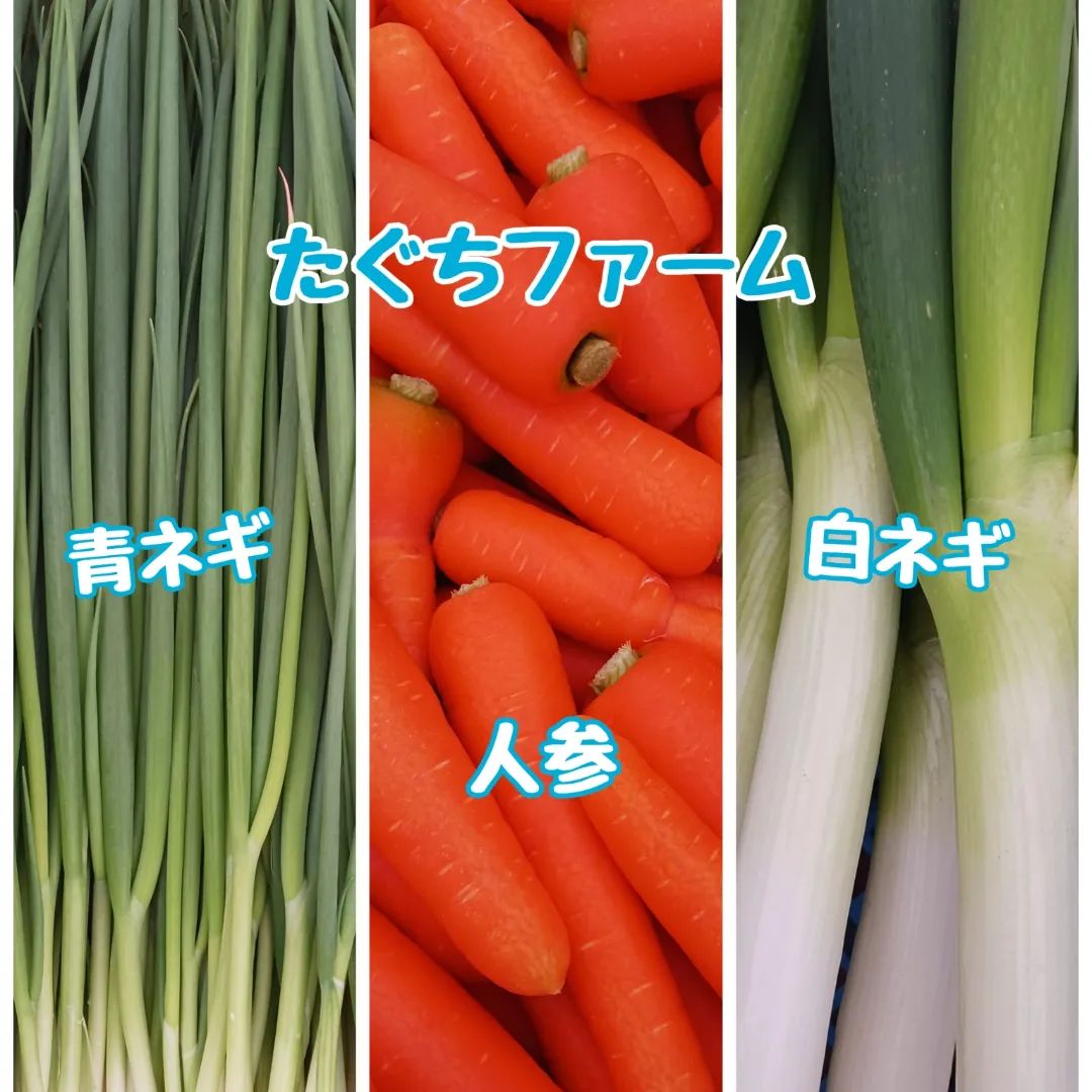 たぐちファームでは、今日も白ネギ、人参、青ネギの出荷準備に励んでいます。寒さの中で育った野菜は、甘さが増して美味しいですよ野菜たっぷりのちゃんぽん、作ってみました。体の中からほかほかです明日は大寒。まだしばらく寒い日が続きますが、どうぞご自愛ください#白ネギ　#人参　#青ネギ　#野菜たっぷりレシピ#たぐちファーム 　#出雲市斐川町出西